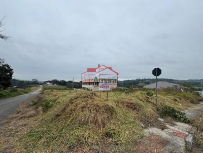 Lote para Venda, em Irati, bairro Molinari