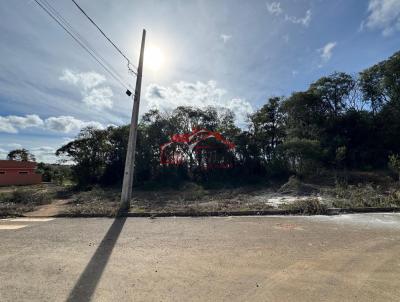 Lote para Venda, em Irati, bairro Vila  So Joo