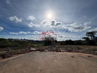 Lote para Venda, em Irati, bairro Vila  So Joo