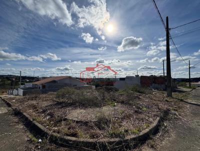 Lote para Venda, em Irati, bairro Vila  So Joo