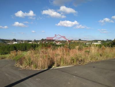 Lote para Venda, em Irati, bairro Vila Verde