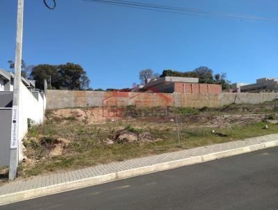 Lote para Venda, em Irati, bairro So Francisco