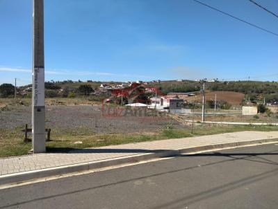 Lote para Venda, em Irati, bairro So Francisco