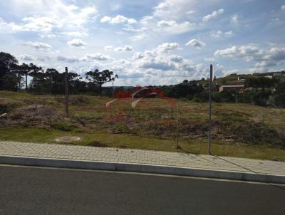 Lote para Venda, em Irati, bairro So Francisco