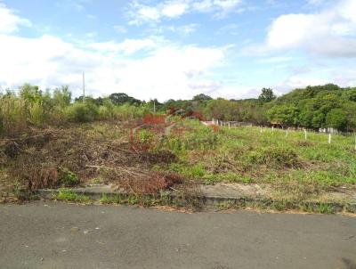 Lote para Venda, em Irati, bairro Engenheiro Gutierrez