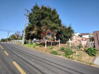 Lote para Venda, em Irati, bairro JARDIM CALIFRNIA