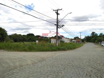 Chcara para Venda, em Irati, bairro NHAPINDAZAL