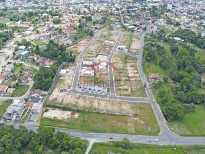 Lote para Venda, em Irati, bairro So Francisco