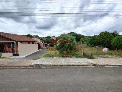 Lote para Venda, em Irati, bairro Jardim Virgnia