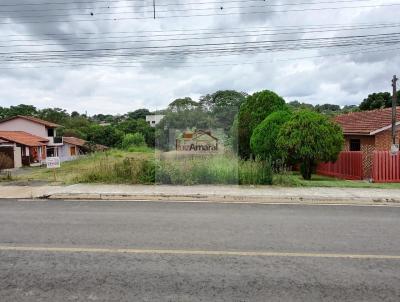 Lote para Venda, em Irati, bairro Jardim Virgnia