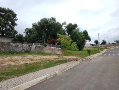Lote para Venda, em Irati, bairro So Francisco