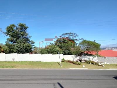 Lote para Venda, em Irati, bairro So Francisco