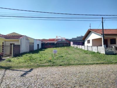 Lote para Venda, em Irati, bairro So Pedro