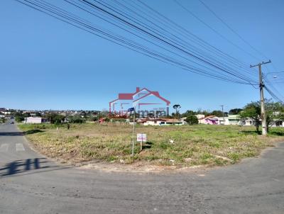 Lote para Venda, em Irati, bairro Canisianas