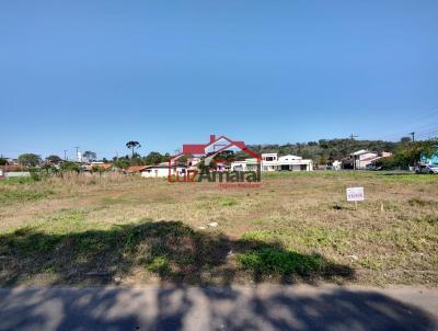 Lote para Venda, em Irati, bairro Canisianas