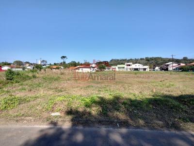 Lote para Venda, em Irati, bairro Canisianas