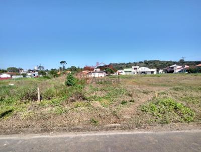 Lote para Venda, em Irati, bairro Canisianas