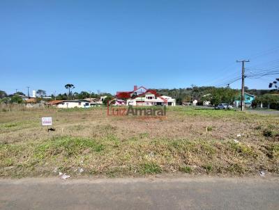 Lote para Venda, em Irati, bairro Canisianas
