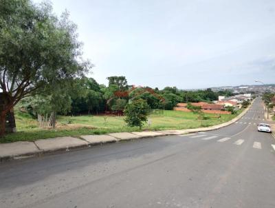 Lote para Venda, em Irati, bairro Vila Matilde
