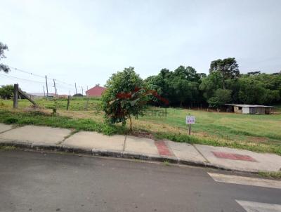 Lote para Venda, em Irati, bairro Vila Matilde