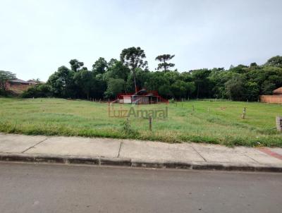Lote para Venda, em Irati, bairro Vila Matilde