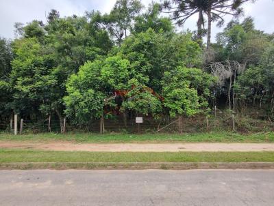 Lote para Venda, em Irati, bairro STROPARO