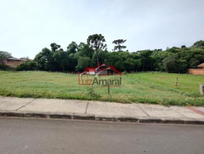 Lote para Venda, em Irati, bairro Vila Matilde