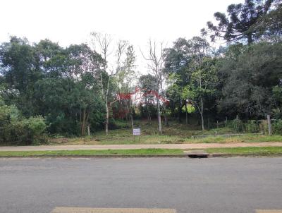 Lote para Venda, em Irati, bairro STROPARO