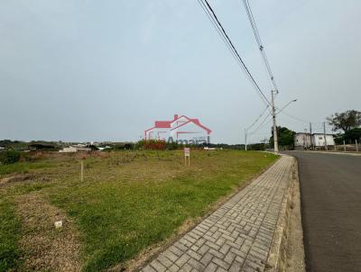 Lote para Venda, em Irati, bairro So Francisco