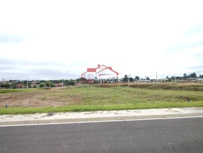Lote para Venda, em Irati, bairro So Pedro