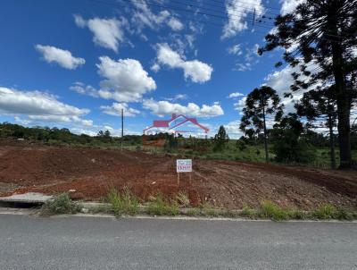 Lote para Venda, em Irati, bairro LAGOA