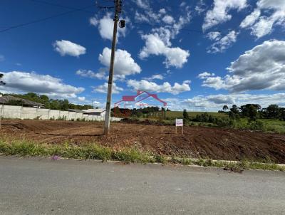 Lote para Venda, em Irati, bairro LAGOA