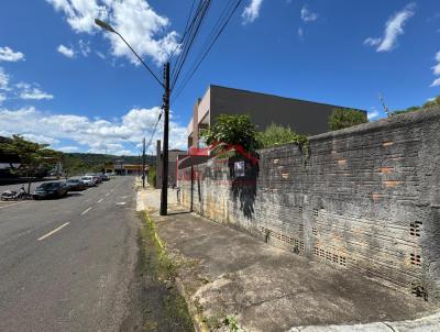 Lote para Venda, em Irati, bairro Centro