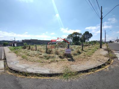 imagem-miniatura