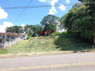 Lote para Venda, em Irati, bairro Colina Nossa Senhora Das Graas