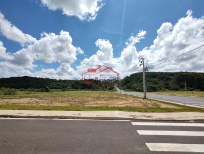 Lote para Venda, em Irati, bairro So Pedro