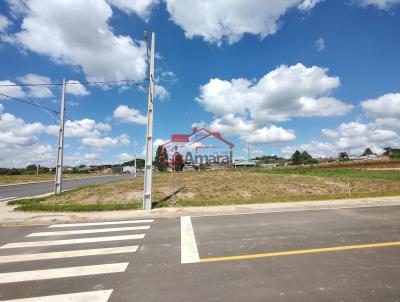 Lote para Venda, em Irati, bairro So Pedro