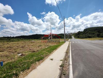Lote para Venda, em Irati, bairro So Pedro