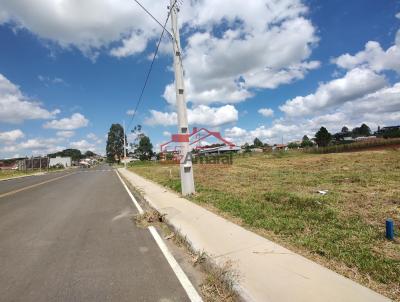 Lote para Venda, em Irati, bairro So Pedro