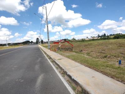 Lote para Venda, em Irati, bairro So Pedro
