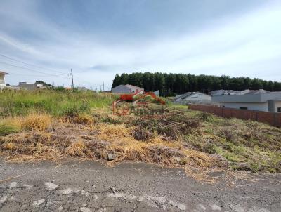 Lote para Venda, em Irati, bairro Vila Verde
