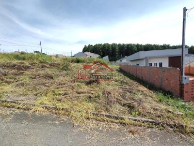 Lote para Venda, em Irati, bairro Vila Verde