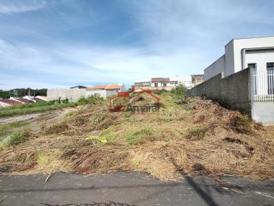 Lote para Venda, em Irati, bairro Vila Verde