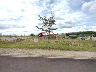 Lote para Venda, em Irati, bairro So Francisco