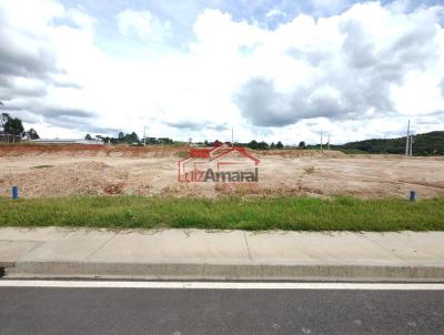 Lote para Venda, em Irati, bairro So Pedro