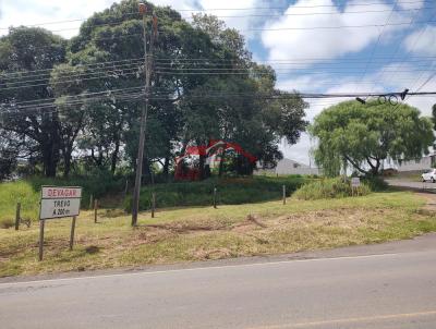 Lote para Venda, em Irati, bairro Jardim Virgnia