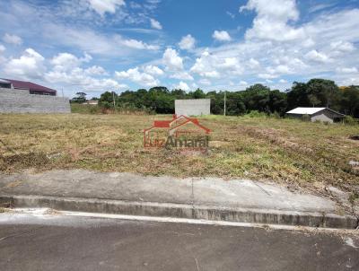 Lote para Venda, em Irati, bairro Engenheiro Gutierrez