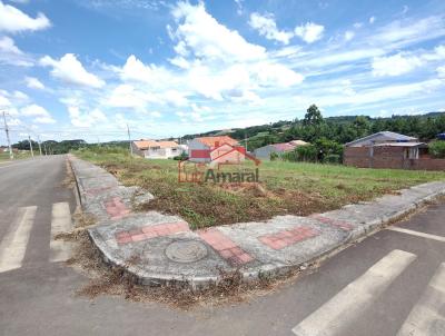 Lote para Venda, em Irati, bairro Engenheiro Gutierrez