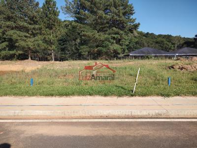 Lote para Venda, em Irati, bairro So Pedro