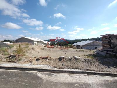 Lote para Venda, em Irati, bairro Vila Verde